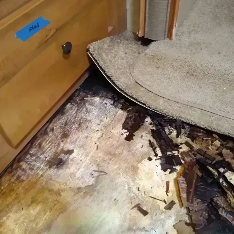 Best Wood Floor Water Damage Service in Pine Ridge, SD